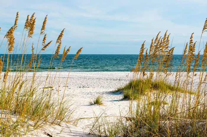 A scene on the Gulf Coast of Alabama.