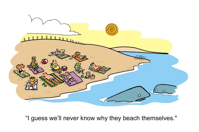 summer cartoons