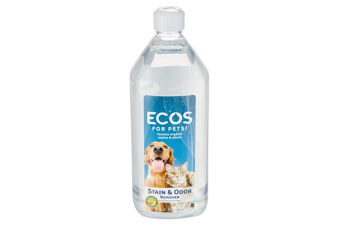 pet wash