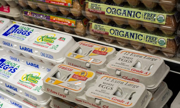 Cage-Free vs. Free-Range: What’s the Difference?