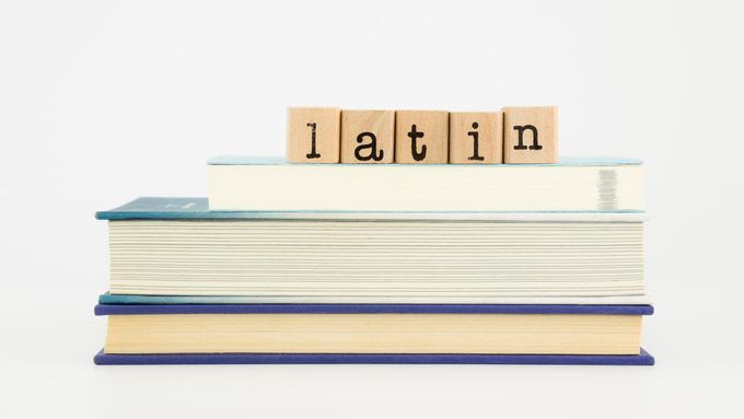 If Latin Is a “Dead” Language, Why Is It Still Taught in Schools?