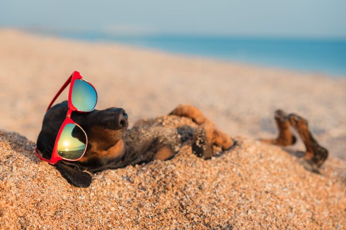 22 Beach Puns That Are Shore to Make You Laugh