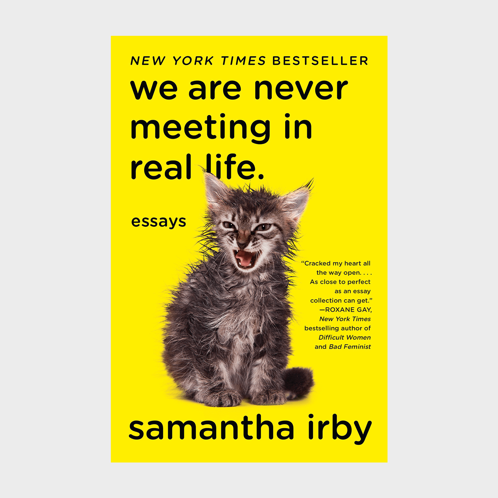 We Are Never Meeting In Real Life Irby Ecomm Via Amazon.com