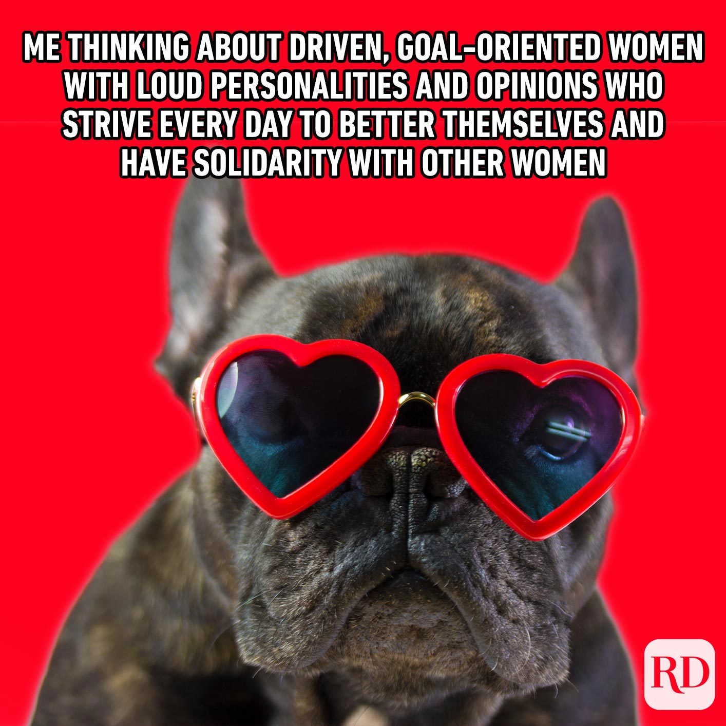 Dog with heart glasses. Meme text: Me thinking about driven, goal-oriented women with loud personalities and opinions who strive every day to better themselves and have solidarity with other women