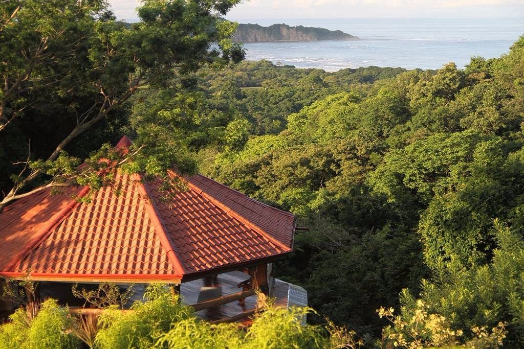 A wooden gazebo with a red tiled roof sits amidst dense green foliage, overlooking a distant ocean view under a clear sky.