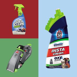 Three cleaning products are displayed: OxiClean spray on red, Woolite InstaClean spray on blue, and a Bissell handheld cleaner on green.