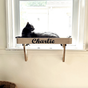 Black cat rests on a shelf labeled 