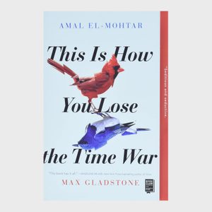 Two abstract birds overlap on a book cover in pastel tones displaying the title 