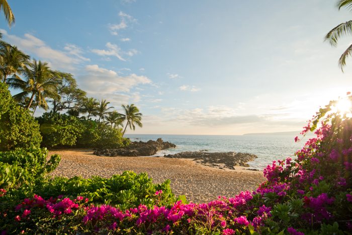 Beach glows under the morning sun, bordered by vibrant pink flowers, palm trees, and gentle ocean waves in a serene, tropical setting.