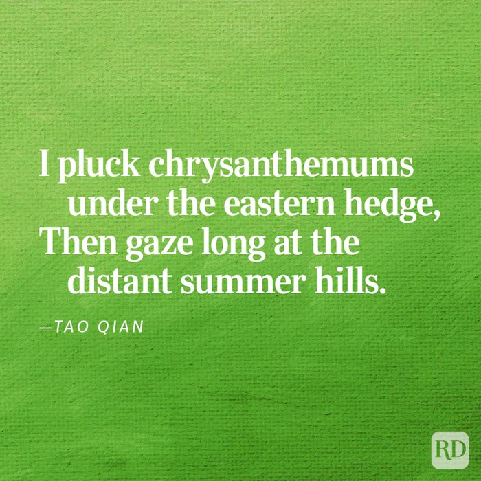 30 Short Poems That’ll Help You Read More Poetry This Year