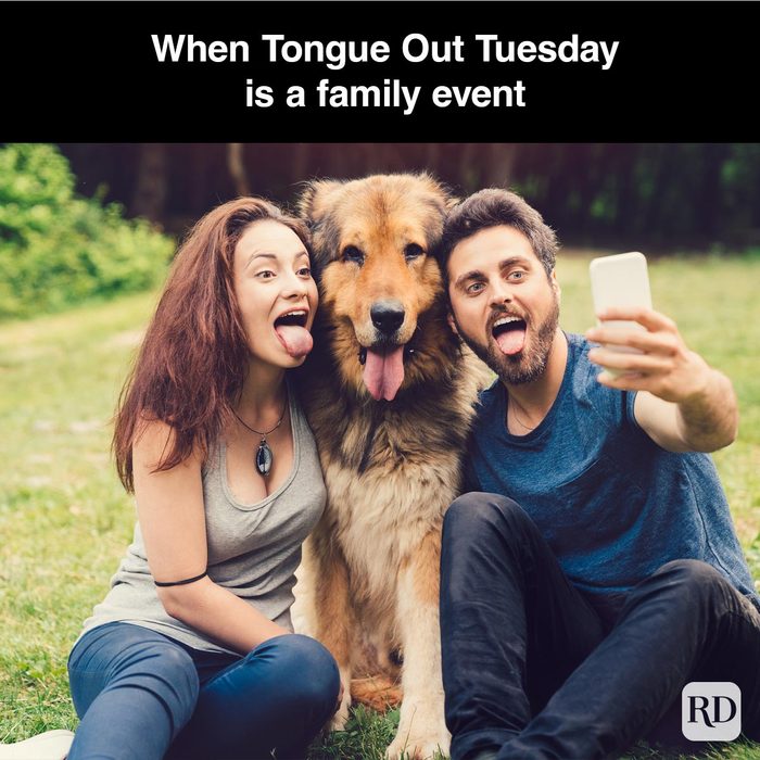40 Smiling Dog Memes That Will Make Everything Better On A Bad Day