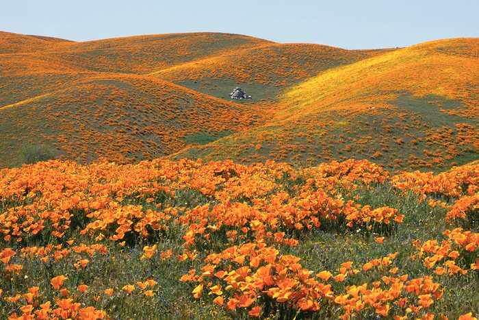 15 of America’s Most Beautiful Places to Visit in Spring 2025