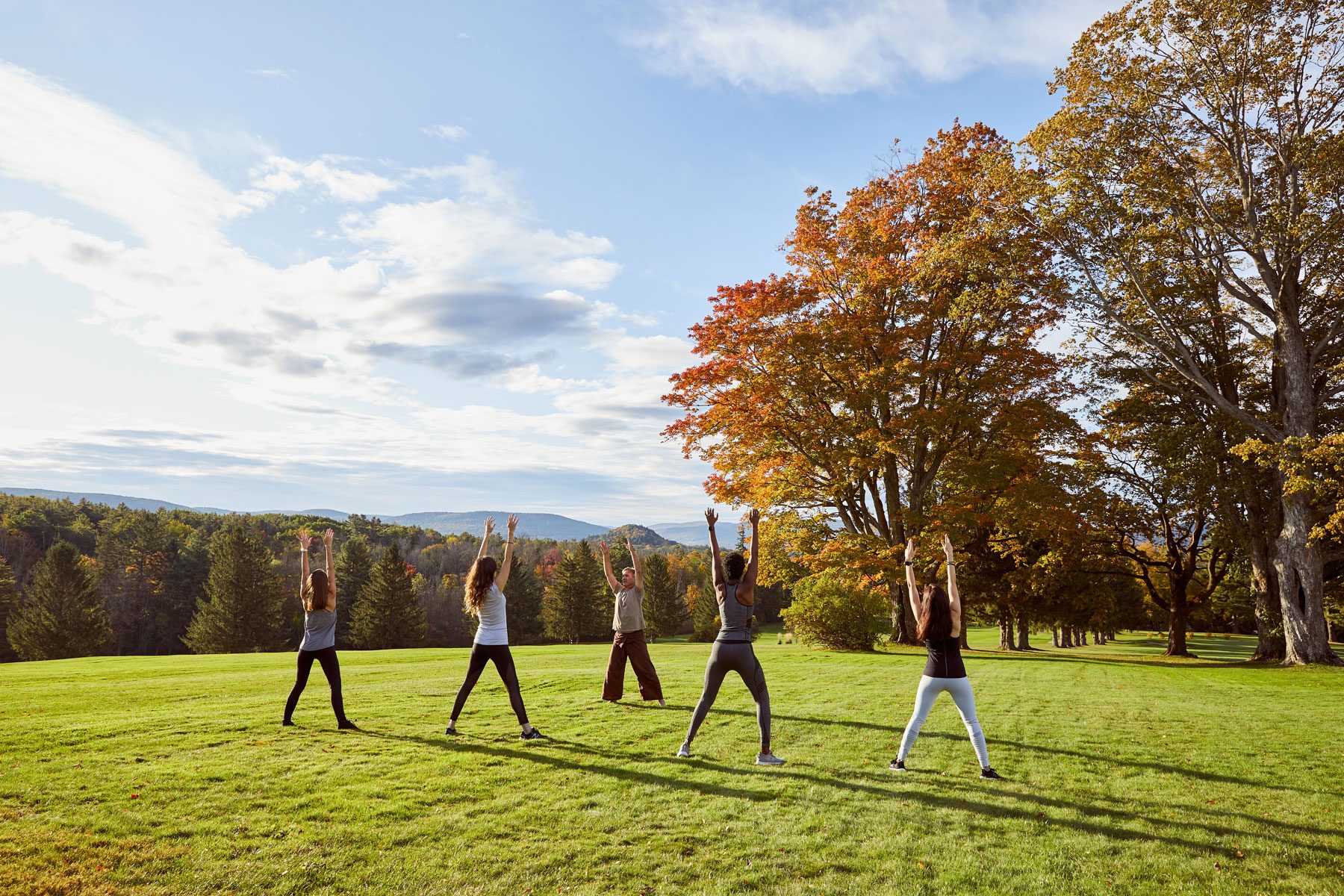 Jamesbaigrie Miravalberkshires Yoga 5811